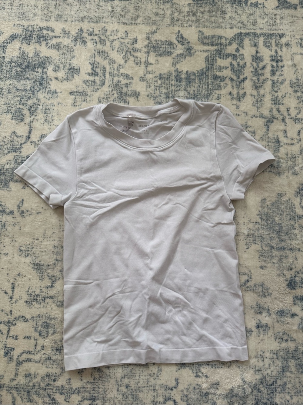 Aritzia Classic White Crewneck Tee